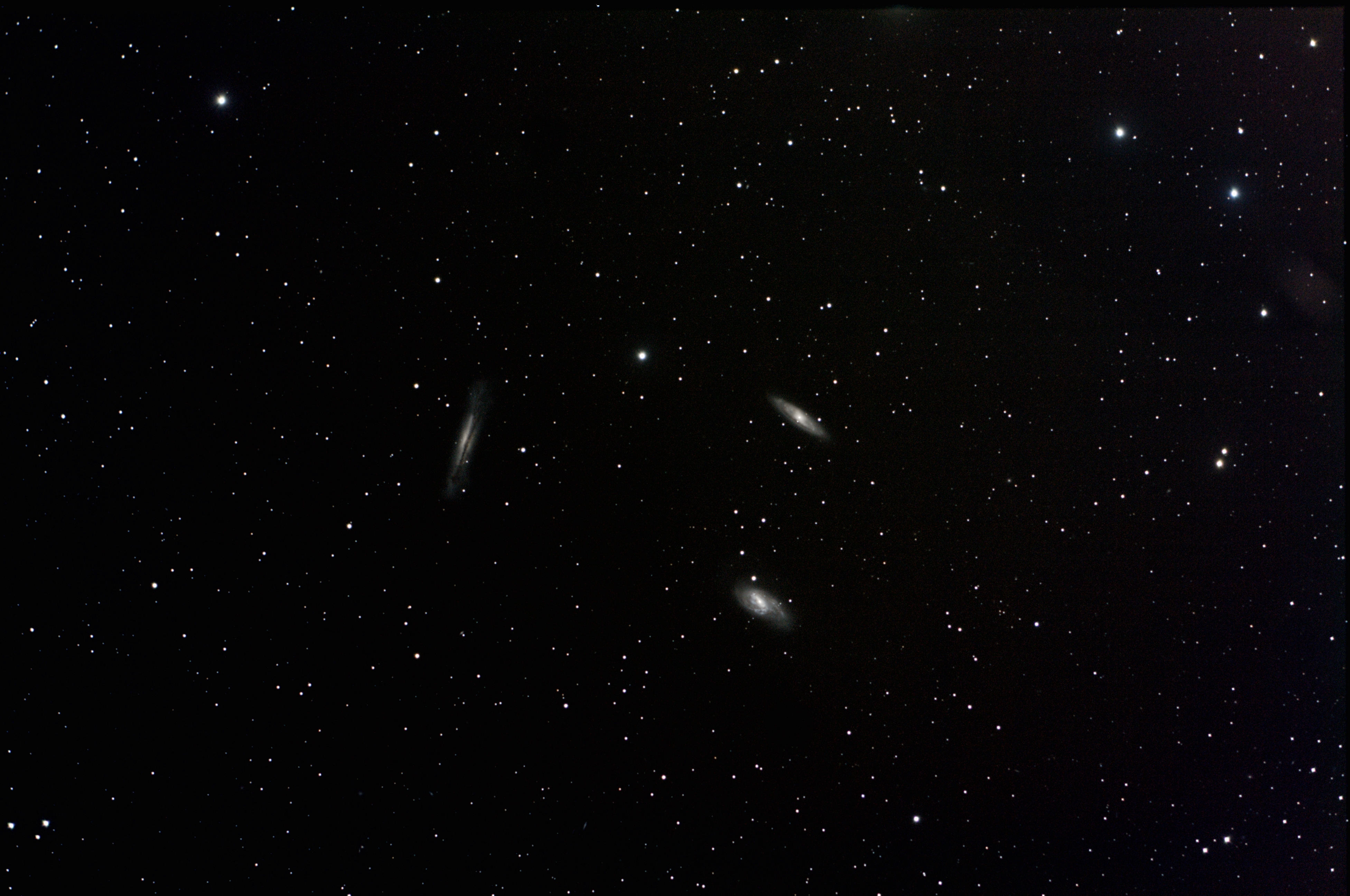 Leo Triplets (M65, M66, NGC 3628)