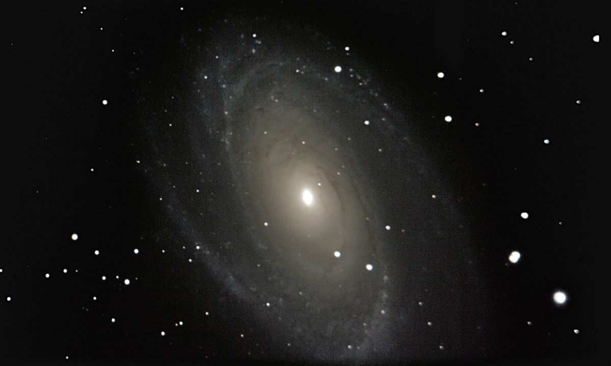 Bode's Galaxy (M81)