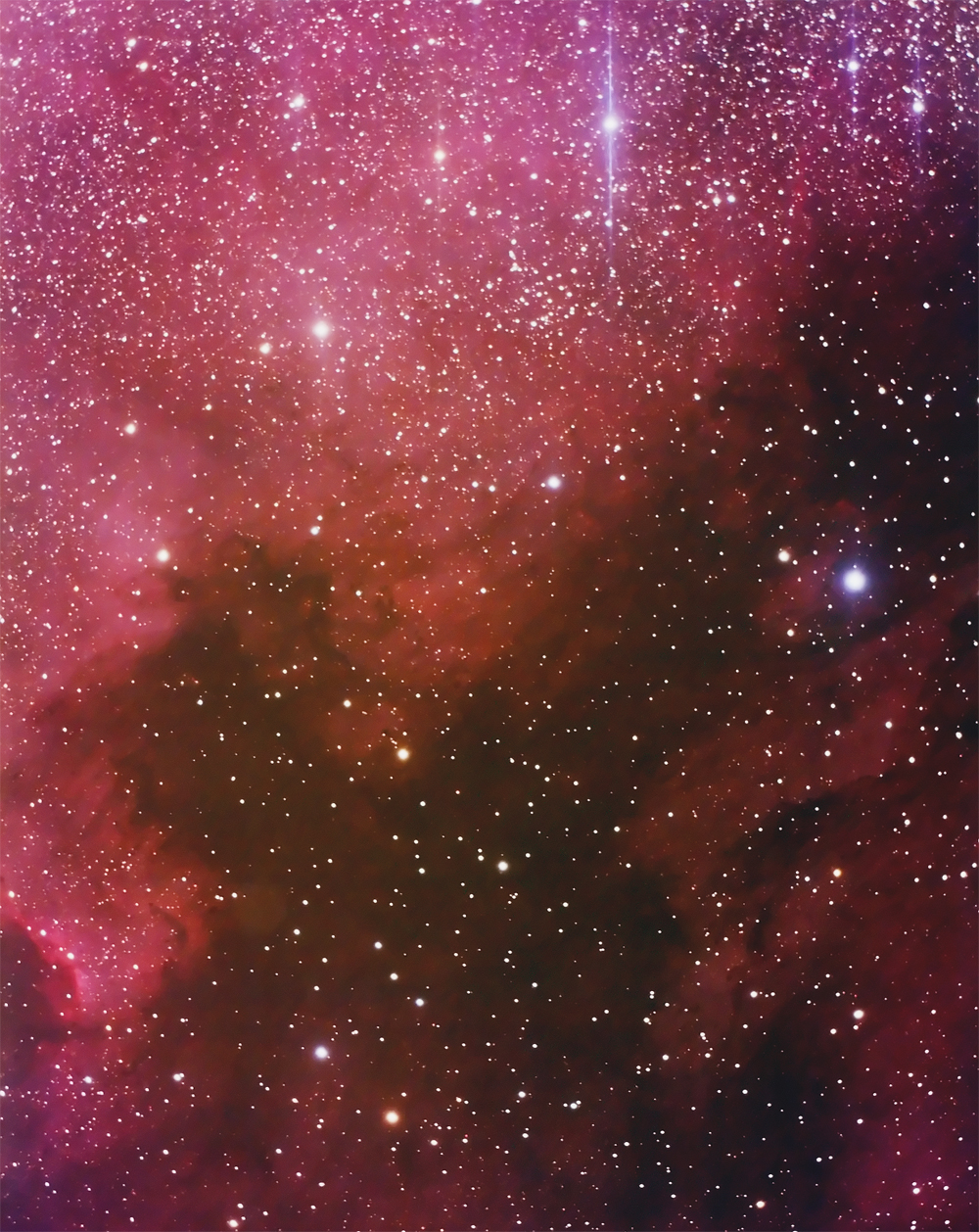 North American Nebula (NGC 7000) and the Pelican Nebula (IC5070)